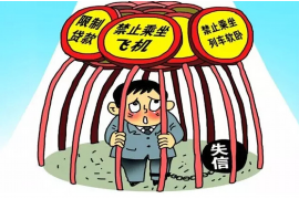 高台清数公司哪里找？揭秘优质数据分析服务提供商