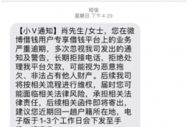 马大帅帮人要账完整版：揭秘债务追收中的专业之道